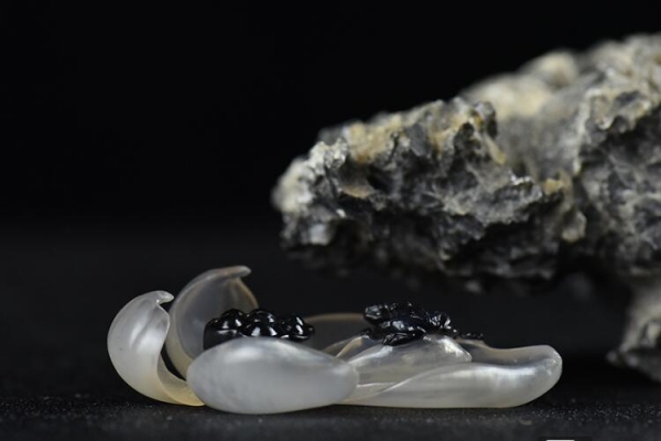 真假瑪瑙的鑒別圖片，如何鑒別瑪瑙真假？
