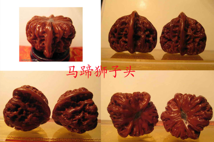 文玩核桃品種，獅子頭核桃品種圖鑒大全（3）
