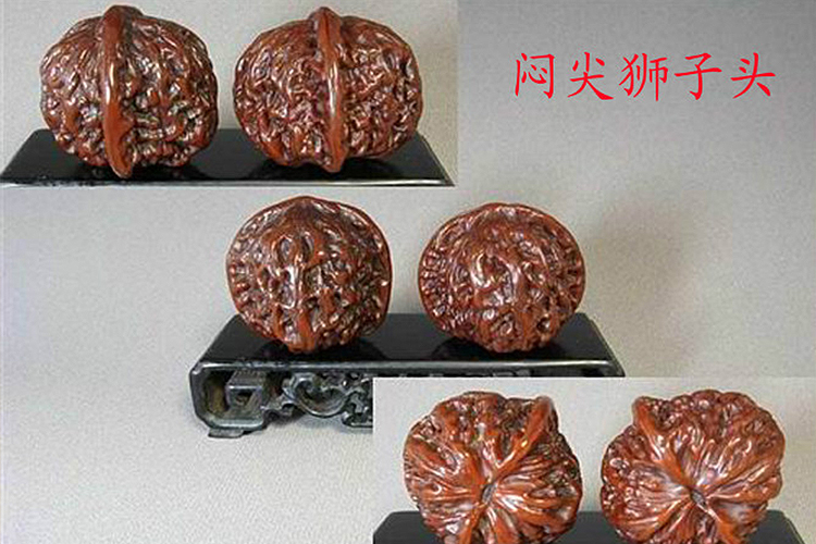 文玩核桃品種，獅子頭核桃品種圖鑒大全（1）