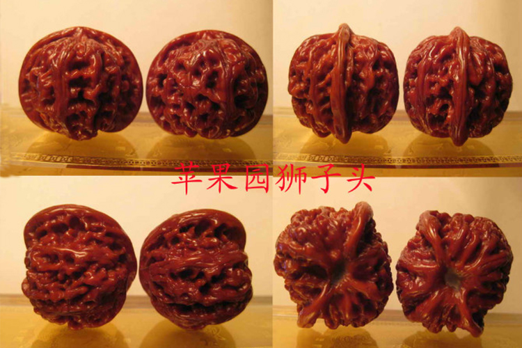 文玩核桃品種，獅子頭核桃品種圖鑒大全（7）