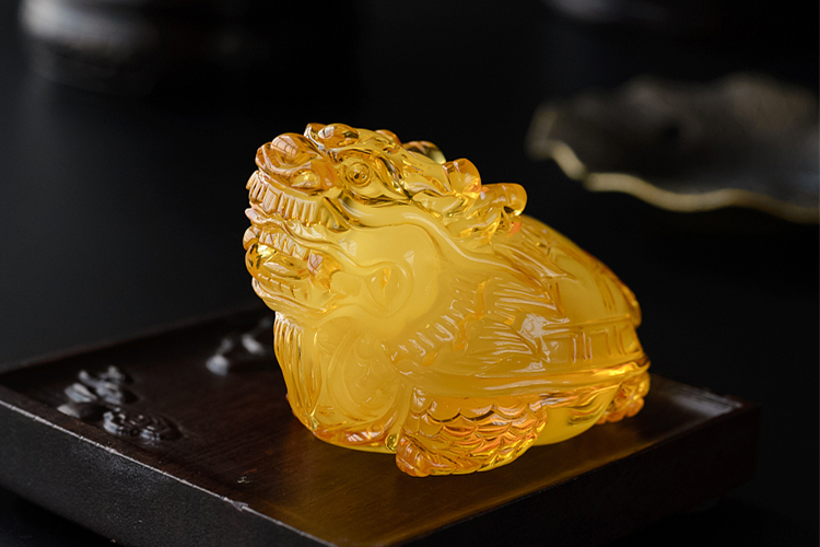 龍龜?shù)脑⒁?，龍龜?shù)鯄媹D片（3）