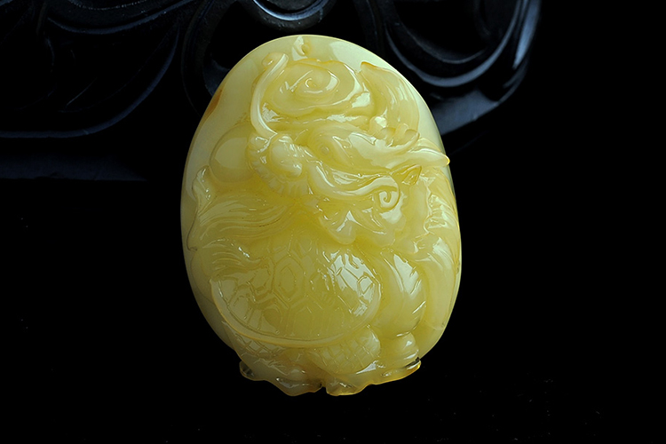 龍龜?shù)脑⒁?，龍龜?shù)鯄媹D片（7）