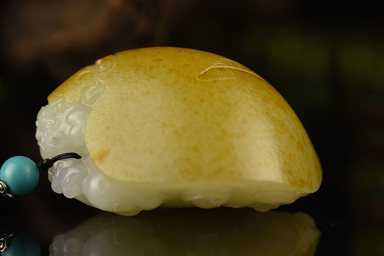 龍龜?shù)脑⒁?，龍龜?shù)鯄媹D片（8）