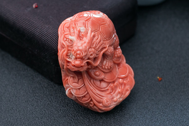 龍龜?shù)脑⒁?，龍龜?shù)鯄媹D片（9）