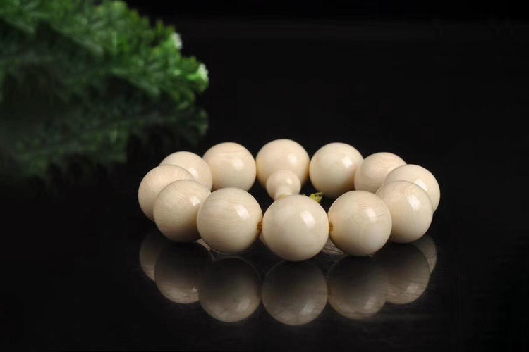 菩提的種類有多少種？這些菩提的種類你都聽說過嗎？（6）
