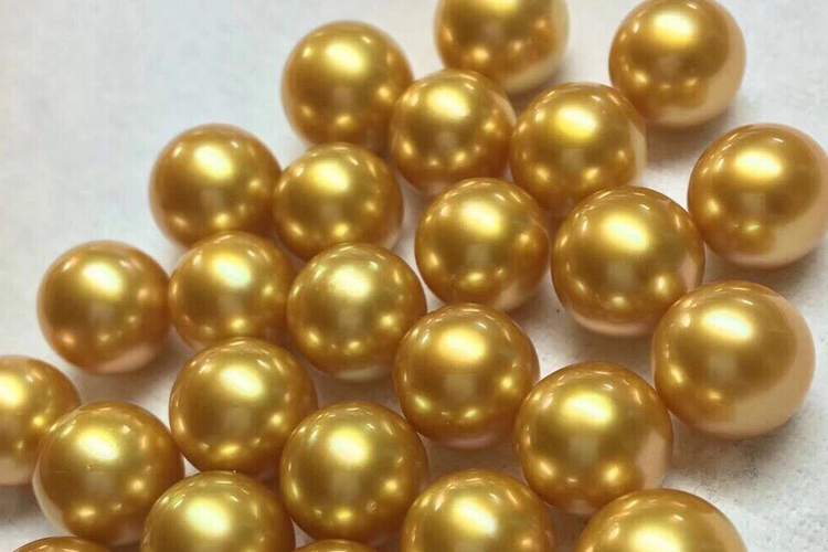 金珍珠價格是多少？金珍珠價格介紹（6）