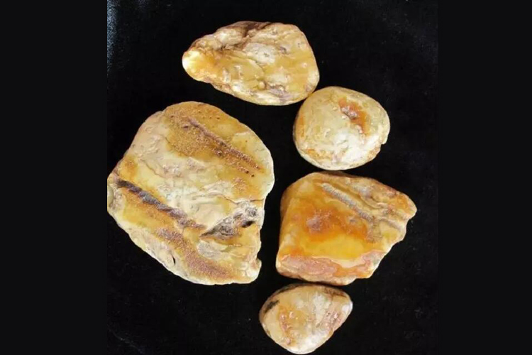 骨珀是白蜜嗎？骨珀和白蜜蠟有何關系？（7）