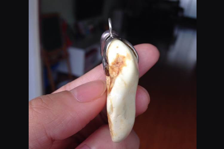 骨珀是白蜜嗎？骨珀和白蜜蠟有何關系？（8）