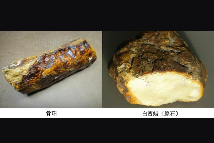 骨珀是白蜜嗎？骨珀和白蜜蠟有何關系？（9）