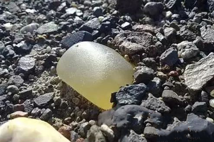 最好金絲玉的價格，最好的金絲玉多少錢？（3）