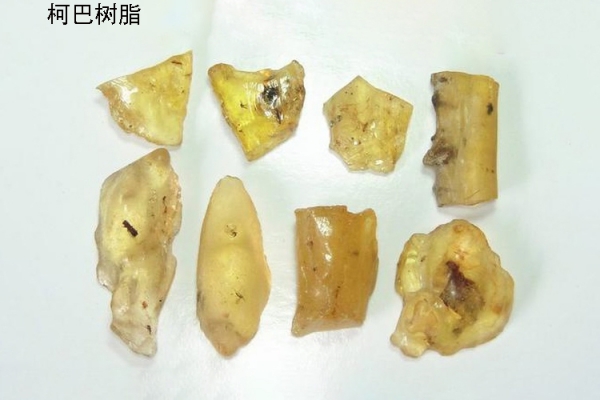 琥珀真假怎么看？有什么簡(jiǎn)單的方法能分辨琥珀的真假？