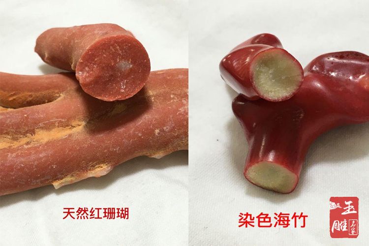 真假紅珊瑚鑒別-玉雕名家